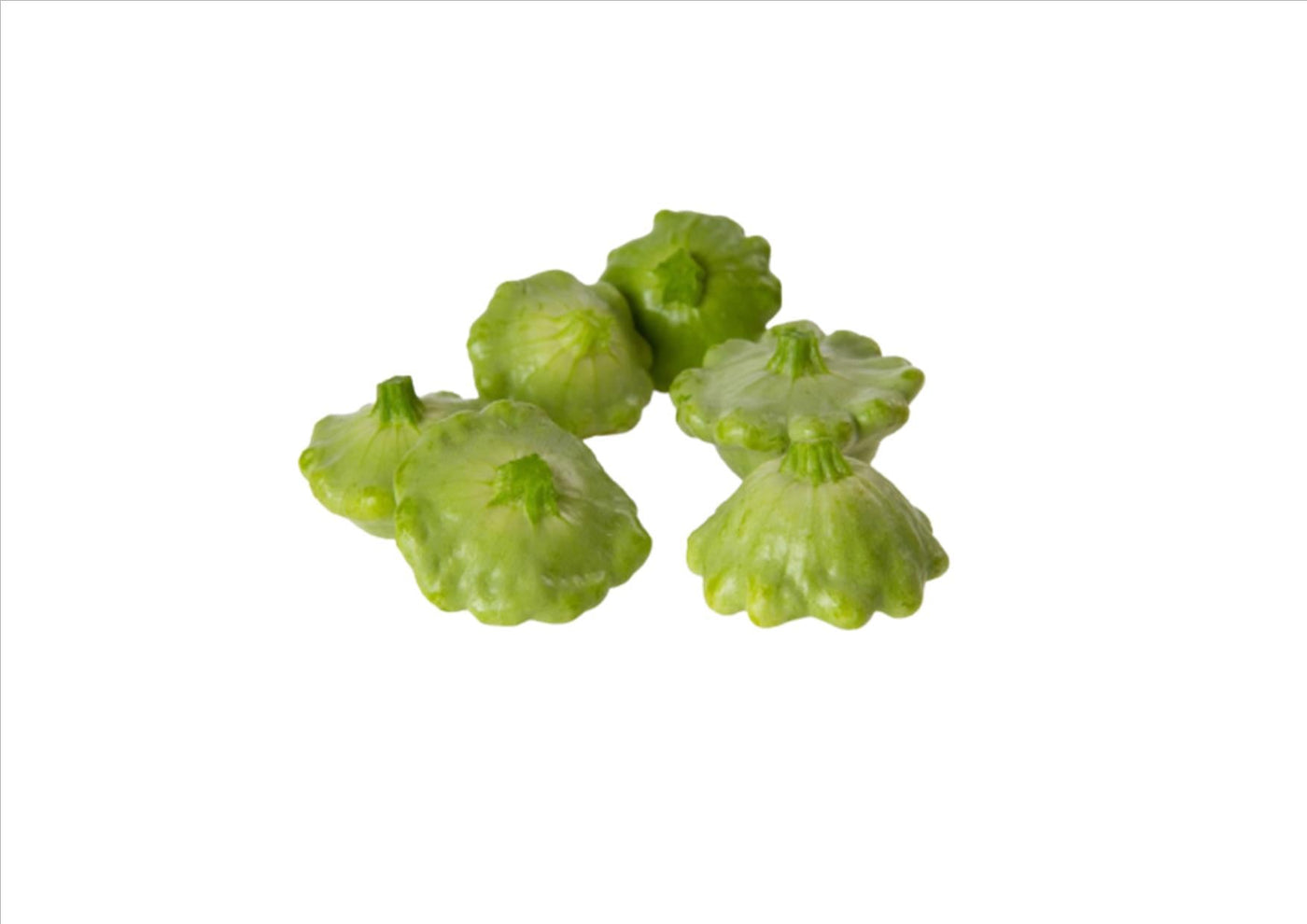rostlina