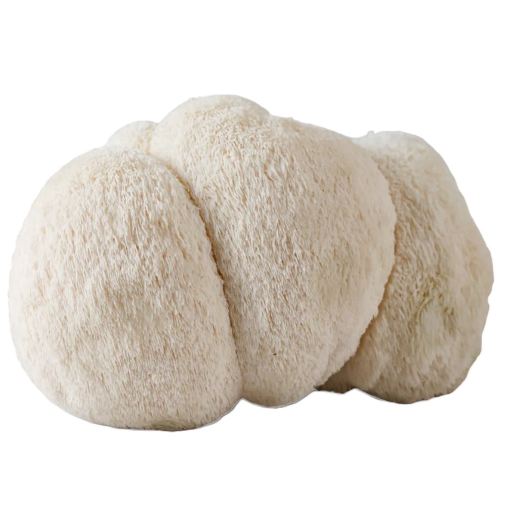 rostlina